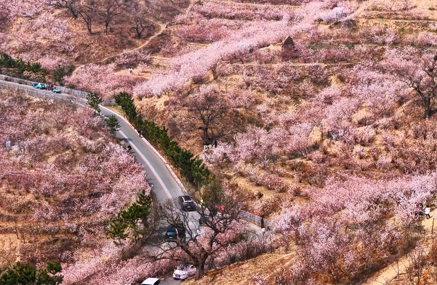 一路春色.jpg