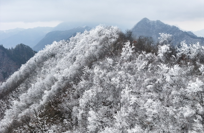 大别山雪凇.jpg