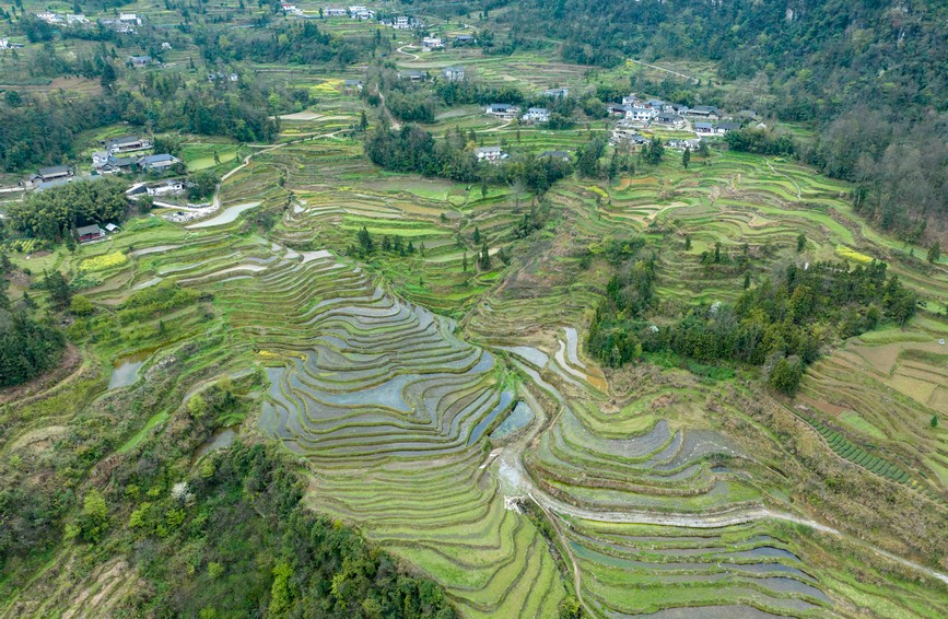 贵州凤冈.jpg
